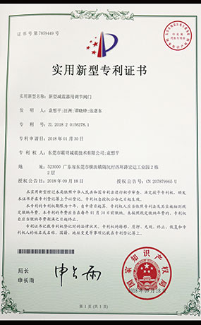 研發(fā)氮?dú)鉁p震器證書